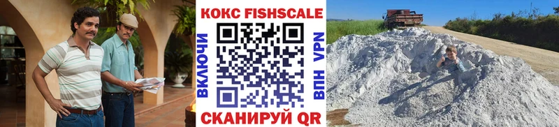 где купить наркоту  Дальнегорск  Кокаин FishScale 