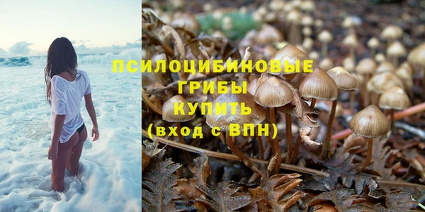 MDMA Premium VHQ Белокуриха