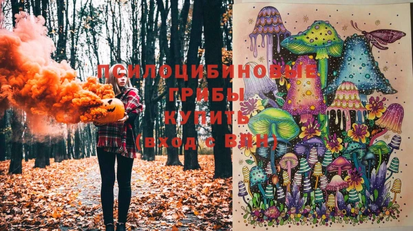 трава Сатка