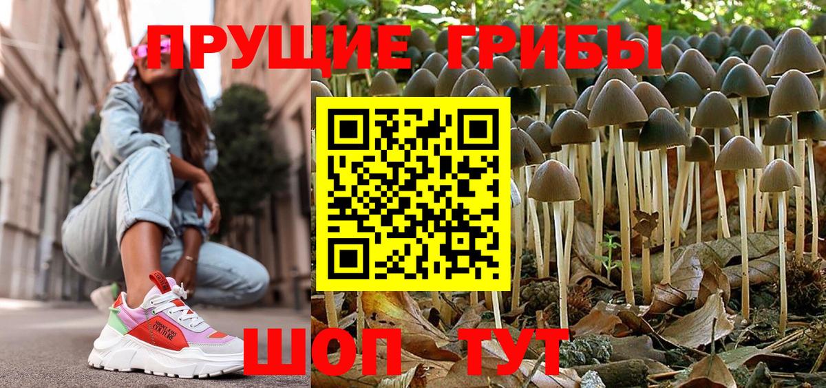 Псилоцибиновые грибы Cubensis  Вход с VPN  Дальнегорск 