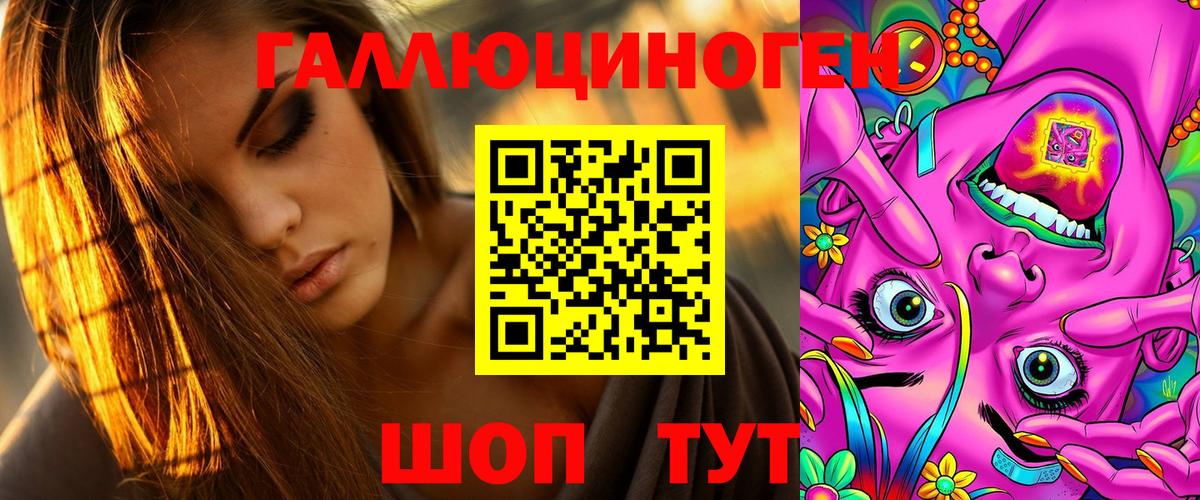 Галлюциногенные грибы Psilocybe  Дальнегорск 