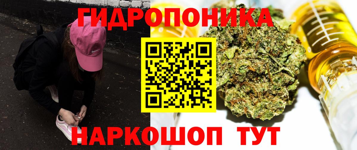 Конопля конопля Дальнегорск